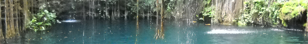 Interior of a cenote filled with water surrounded by lush foliage